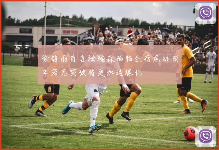 徐静雨直言杨瀚森面临生存危机明年若无突破将更加边缘化